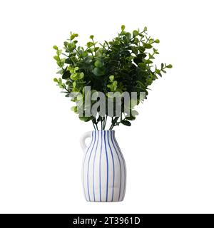 Nahaufnahme der Sukkulenten Pflanze in Vase isoliert auf weißem Hintergrund. Echte Fotografie auf dem weißen Background. Sedum, Stonecrop. Stockfoto