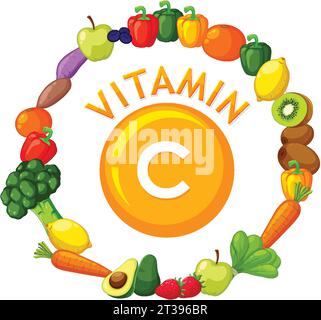 Eine lebendige Illustration, die eine Vielzahl an Vitamin-C-reichen Lebensmitteln zeigt Stock Vektor