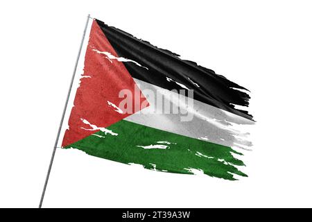 Palästina zerrissene Flagge auf transparentem Hintergrund. Stockfoto