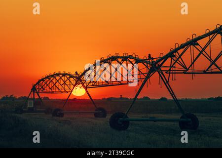 Sommersonnenuntergang über landwirtschaftlichem Feld mit Silhouette-Bewässerungssystem, selektiver Fokus Stockfoto