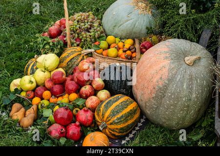 Eine bunte Auswahl an frischem Obst und Gemüse, einschließlich Kürbisse, Äpfel, Trauben und Birnen, wird auf dem Gras angezeigt. Stockfoto