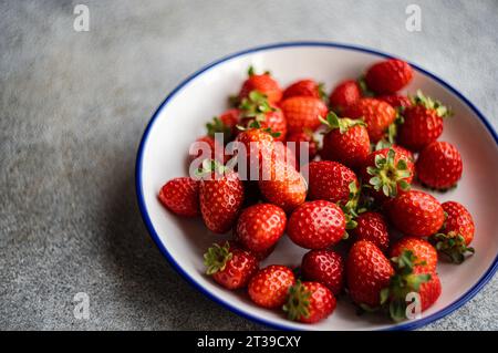 Nahaufnahme lebendiger Bio-Erdbeeren in einer weißen Schale mit blauem Rand, auf einem gedämpften grauen Hintergrund. Stockfoto