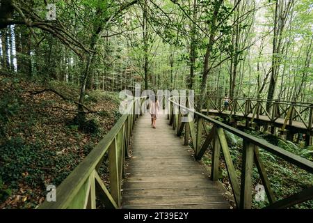 Rückansicht eines nicht erkennbaren kleinen Mädchens, das auf einer hölzernen Fußgängerbrücke im grünen Wald spaziert, Cabezon de la Sal, Kantabrien, Spanien Stockfoto