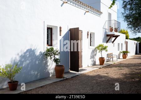 Fassade eines Stadthauses mit weißen Wänden und Blumentöpfen am Eingang an einem sonnigen Tag Stockfoto