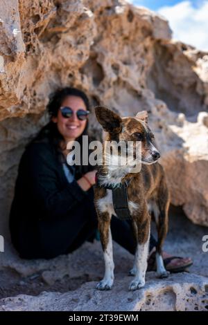 Porträt eines Hundes neben seinem Traum in einer felsigen Landschaft Stockfoto