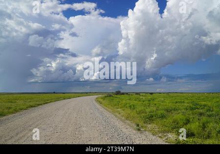 Offene Landschaft in einem Nationalpark, keine Gebäude oder Tiere Stockfoto