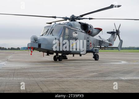 Agusta Westland, Wildcat, AH-1, AW.159, ZZ527, Army Air Corps, Yeovilton, Somerset. Stockfoto