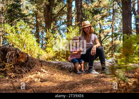 Eine Mutter mit ihrem Sohn sitzt auf einem Baum in der Natur neben Kiefern, Madeira. Portugal Stockfoto