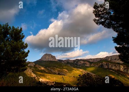 Auf dem Weg zur Sainte Baume in Gemenos Bouches-du-Rhône Provence-Alpes-Côte-d'Azur Frankreich Stockfoto