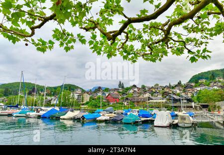 Wunderschöne Hafenstadt Spiez ist eine kleine Stadt am Thunersee. An der Südküste gelegen, nur 18 km von Interlaken entfernt. Stockfoto