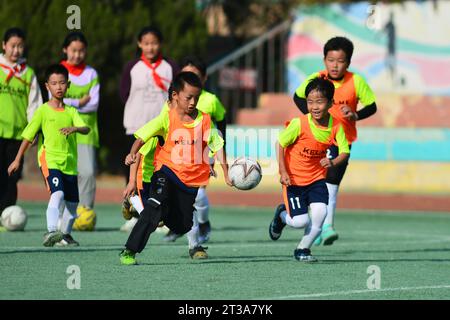 QINGDAO, CHINA - 24. OKTOBER 2023 - Grundschüler trainieren auf einem Fußballfeld in Qingdao, Provinz Shandong, China, 24. Oktober 2023. Stockfoto