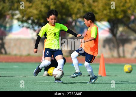 QINGDAO, CHINA - 24. OKTOBER 2023 - Grundschüler trainieren auf einem Fußballfeld in Qingdao, Provinz Shandong, China, 24. Oktober 2023. Stockfoto