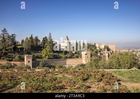 Blick auf die alhambra von mirador san nicolas in der albaicin-Gegend von granada andalusien spanien Stockfoto