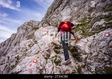 Aufstieg nach Kamniško Sedlo, bestückter Weg, alpen, Slowenien, Mitteleuropa, Stockfoto