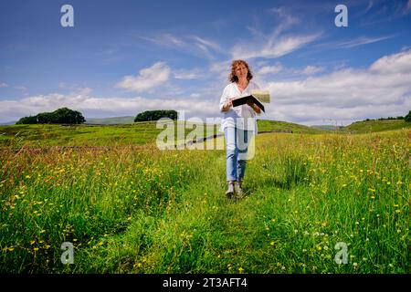 Filzkünstlerin Andrea Hunter in ihrem Studio in Wensleydale in den Yorkshire Dales, Großbritannien. Andrea wendet die Prinzipien des Zeichens und Malens auf die Verwendung feiner Schichten Merinowolle an, um subtile Töne und Farben in Landschaftsfilzen zu erzeugen. Stockfoto