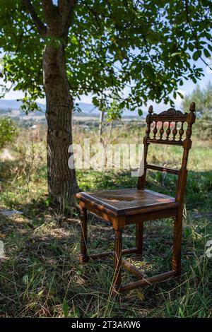 Antiker belgischer Stuhl unter einem Baum, mit Laubgarten Hintergrund Stockfoto