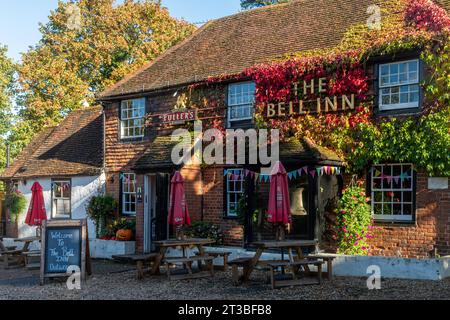 Herbst Pub, The Bell Inn bedeckt mit rotem virginia Creeper im Oktober, Outwood, Surrey, England, Großbritannien Stockfoto
