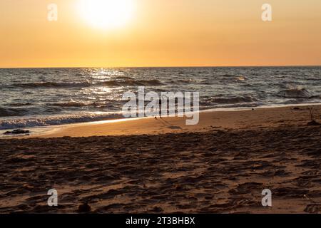 Flamingo-Spaziergang am sizilianischen Strand mit Hintergrundbeleuchtung Stockfoto