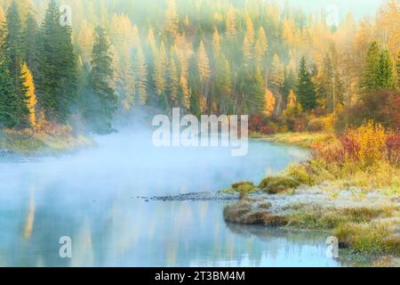 Nebel- und Herbstfarben entlang des mcdonald Creek im Gletscher-Nationalpark in der Nähe des West Glacier, montana Stockfoto