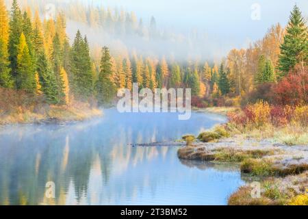 Nebel- und Herbstfarben entlang des mcdonald Creek im Gletscher-Nationalpark in der Nähe des West Glacier, montana Stockfoto