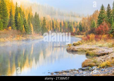 Nebel- und Herbstfarben entlang des mcdonald Creek im Gletscher-Nationalpark in der Nähe des West Glacier, montana Stockfoto