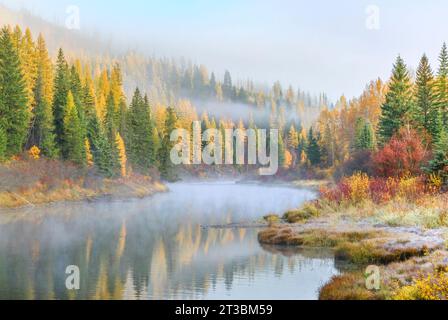 Nebel- und Herbstfarben entlang des mcdonald Creek im Gletscher-Nationalpark in der Nähe des West Glacier, montana Stockfoto