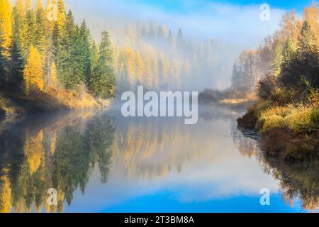 Nebel- und Herbstfarben entlang des mcdonald Creek im Gletscher-Nationalpark in der Nähe des West Glacier, montana Stockfoto