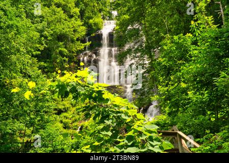 Panoramablick auf die Wasserfälle von Amicalola, der höchste Wasserfall im Bundesstaat Georgia, USA Stockfoto