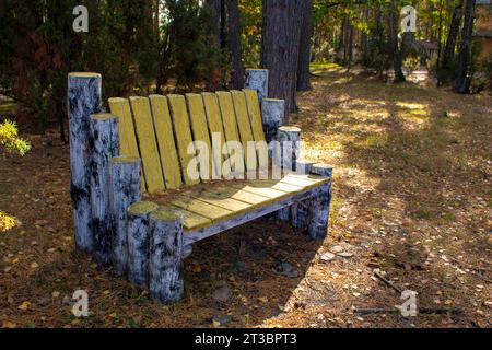 Leere, dekorierte Holzbank in einem Fallpark. Gelbes Laub auf dem Boden. Sonniger Herbsttag. Landschaftsdesign. Stockfoto
