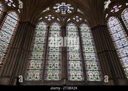 Chapter House - Heimstadion der Magna Carta in der Kathedrale von Salisbury, Großbritannien Stockfoto