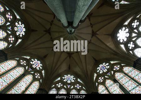 Chapter House - Heimstadion der Magna Carta in der Kathedrale von Salisbury, Großbritannien Stockfoto