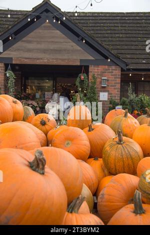 Leute, die in den Bauernladen der Hollies in Cheshire gehen, mit Kürbissen, die hoch oben im Vordergrund stehen Stockfoto