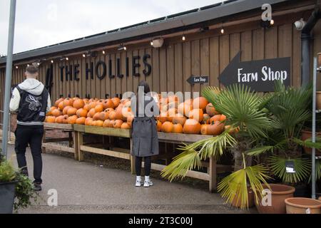 Lady, die einen Kürbis aus der Ausstellung im Farm Shop in cheshire auswählt Stockfoto