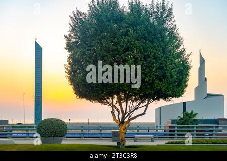 Ulmenbaum, Skyline von Bahrain, Four Seasons Bahrain Hotel Stockfoto