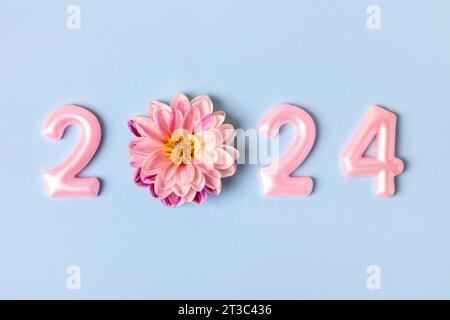 Rosa Zahlen und rosa Dahlienblüten auf blauem Hintergrund. Ideenkonzept für das neue Jahr 2024. Einfaches und sauberes Design Happy New Year 2024 and Merry Christmas Stockfoto