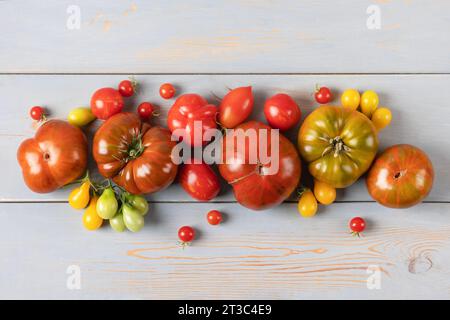 Rote, grüne, gelbe und gestreifte Tomaten auf blauem Holztisch. Flache Lagen. Gesundes Essen, frisches gesundes Gemüse aus dem Garten Stockfoto