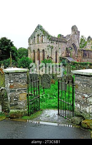 Grey Abbey Ruinen der ARDS-Halbinsel Nordirland Britische Inseln Vereinigtes Königreich Vereinigtes Königreich Vereinigtes Königreich Stockfoto