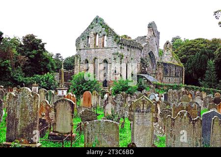 Grey Abbey Ruinen der ARDS-Halbinsel Nordirland Britische Inseln Vereinigtes Königreich Vereinigtes Königreich Vereinigtes Königreich Stockfoto