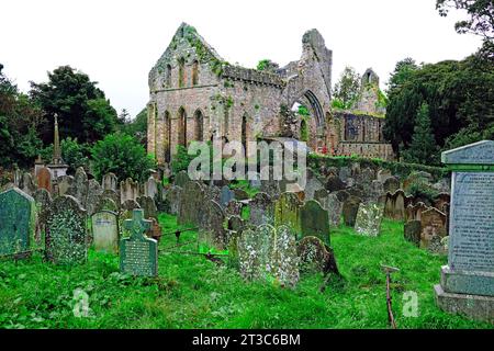 Grey Abbey Ruinen der ARDS-Halbinsel Nordirland Britische Inseln Vereinigtes Königreich Vereinigtes Königreich Vereinigtes Königreich Stockfoto