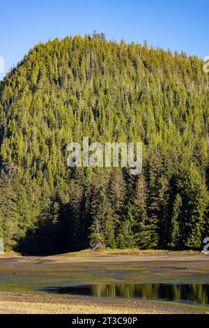 Salzwasserbucht bei Ebbe im Moresby Camp, wo viele Bootsausflüge zum Gwaii Haanas National Park Reserve beginnen, Haida Gwaii, British Columbia, Kanada Stockfoto