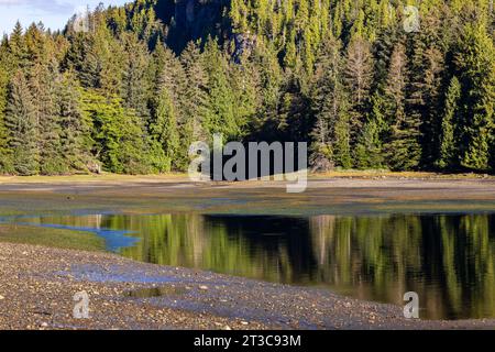 Salzwasserbucht bei Ebbe im Moresby Camp, wo viele Bootsausflüge zum Gwaii Haanas National Park Reserve beginnen, Haida Gwaii, British Columbia, Kanada Stockfoto