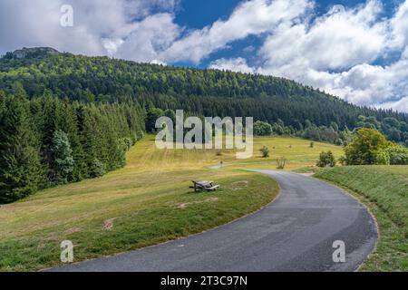 Grand Colombier Pass. Blick auf den Wald, die Straße, einen alten Holztisch und den Bergrücken Stockfoto