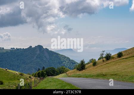 Grand Colombier Pass. Blick auf den Wald, die Straße, Kühe und die Berge dahinter Stockfoto