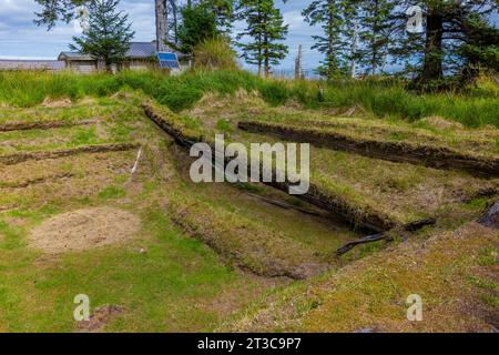 Hausgrube und Stützbalken eines alten Langhauses im alten Dorf von K'uuna Linagaay, alias Skedans, auf Louise Island, alias K'uuna Gwaay Yaay, Stockfoto