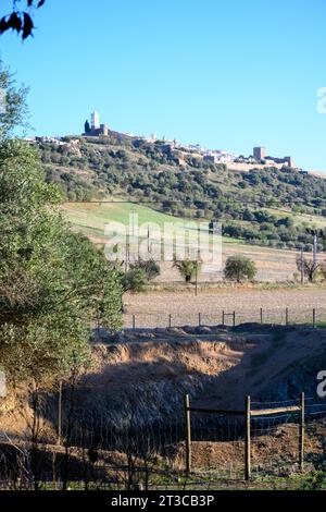 Portugal, das Alentejo, Monsaraz historische ummauerte Stadt auf einem Hügel in der Ferne, Olivenhaine im Vordergrund Stockfoto