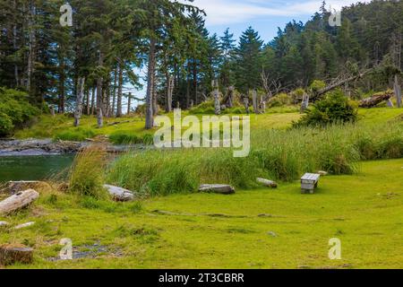 Totempfähle im UNESCO-Weltkulturerbe Sgang Gwaay Llnagaay, einem alten Dorf auf Anthony Island, Gwaii Haanas Nationalpark Reserve, Haida G Stockfoto