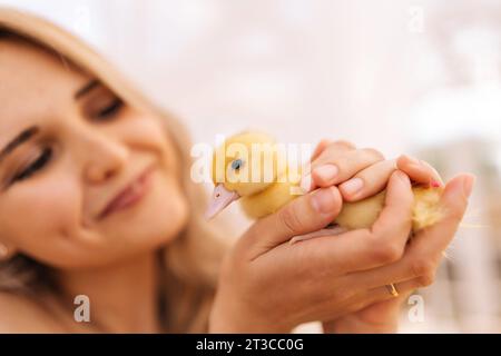 Nahaufnahme des Gesichts einer glücklichen blonden jungen Frau, die niedliche kleine gelbe Entlein in den Händen hält, im Haus des Sommerpavillons an sonnigem Tag. Konzept der Exkursion nach Stockfoto