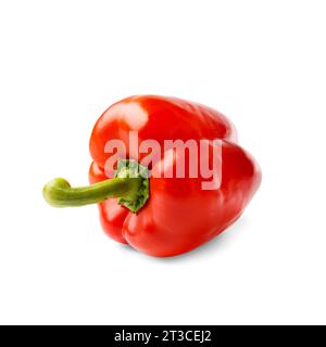 Große süße rote Paprika, isoliert auf weißem Hintergrund, Nahaufnahme. Nützliche biologische Produkte. Stockfoto