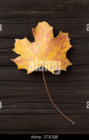 Trockenes gelbes Blatt auf einem strukturellen hölzernen Hintergrund von oben. Herbstblatt auf dunklem Hintergrund. Trockenes Ahornblatt. Postkarte, Vorlage, leer für Design. Stockfoto