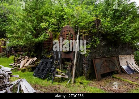 Alte und rostende Walverarbeitungsgeräte wurden an der alten Rose Harbour Walstation im Gwaii Haanas National Park Reserve, Haida Gwaii, br Stockfoto